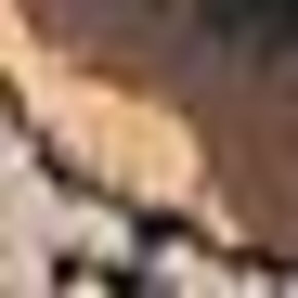 Not Available Women's Pants Sz L Denim & Co. Active Printed Duo Black A647731 - Picture 3 of 7